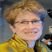 Jeanne M. Nerbonne