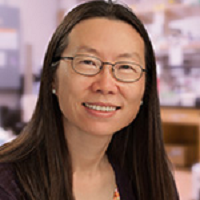 Yishi Jin
